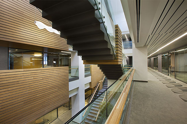 ACIBADEM ÜNİVERSİTESİ